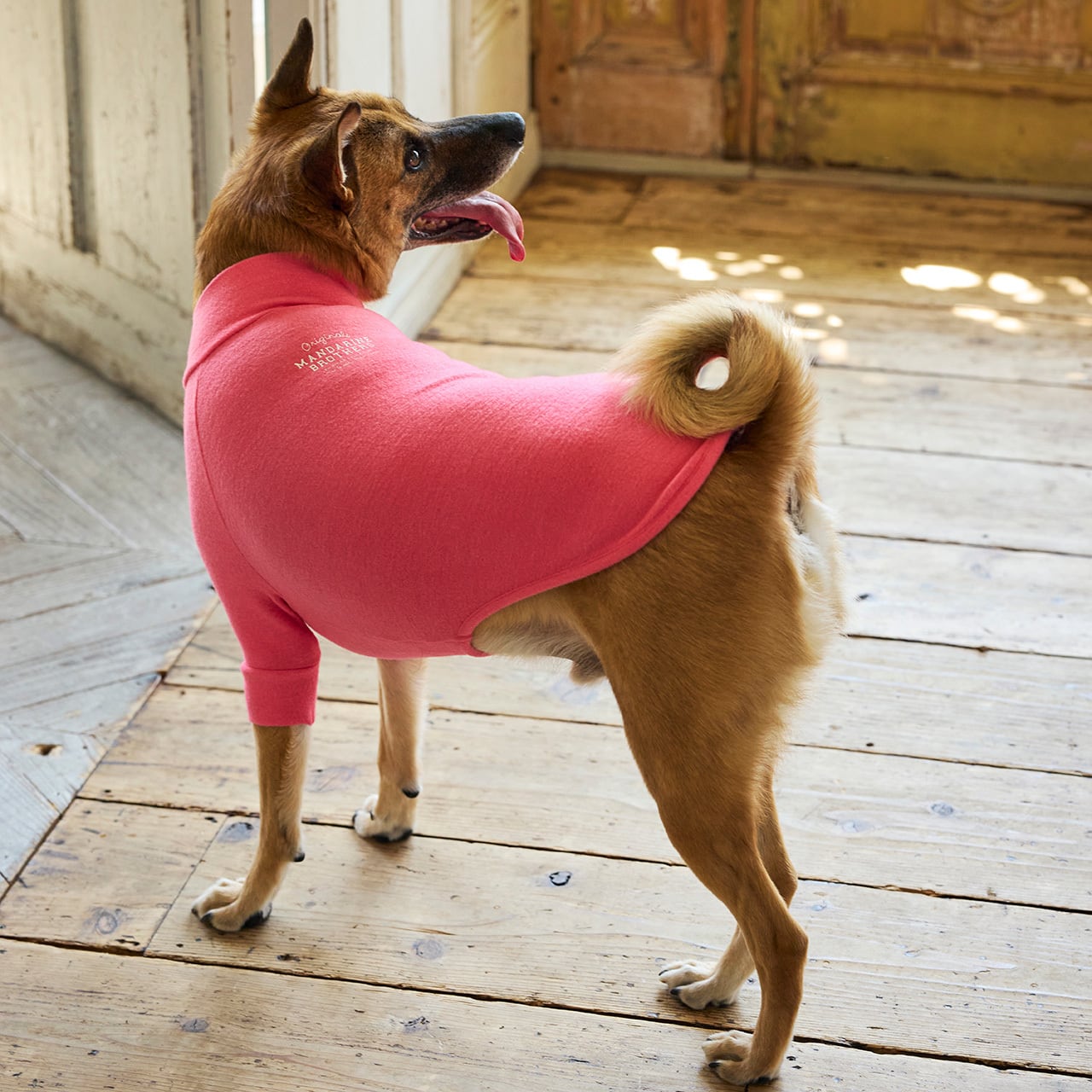 みんみん HIGHTIDE ふせん（ムーミン/おしり）MM097A - MOOMIN SHOP