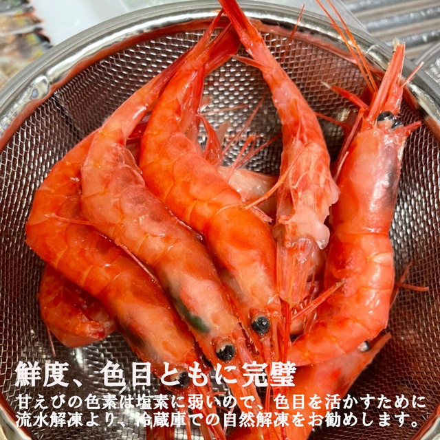 鮮度色目完璧 国産船内凍結甘えび 北国赤海老 約45尾800g 053 さかな一代 公式 共同水産 豊洲市場直送 水産通販 鮮度色目完璧 国産船内凍結甘えび 北国赤海老 約45尾800g 053 さかな一代 公式 共同水産 豊洲市場直送 水産通販