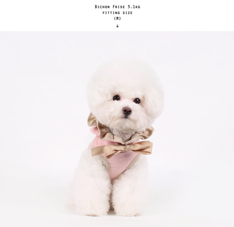 フリルリボンフード付きTシャツ S ~ XL 2color / 犬服 春物 新作 おしゃれ ドッグウェア 可愛い 犬の服 小型犬 中型犬 ペット用品 ペット洋服　b32