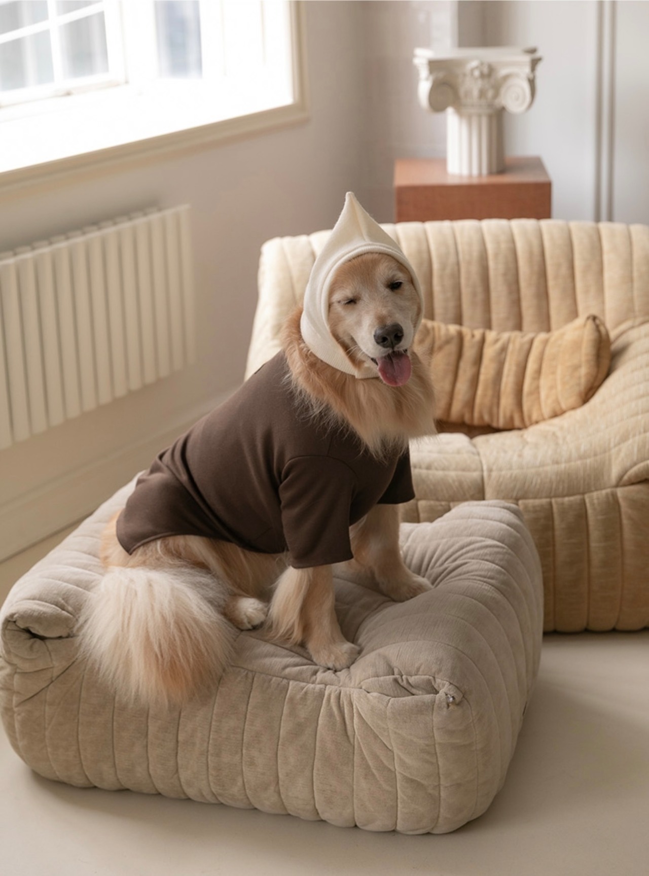 【TODLEY】New turtleneck(BROWN)