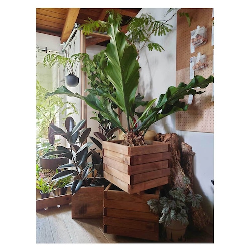 Wooden planter
