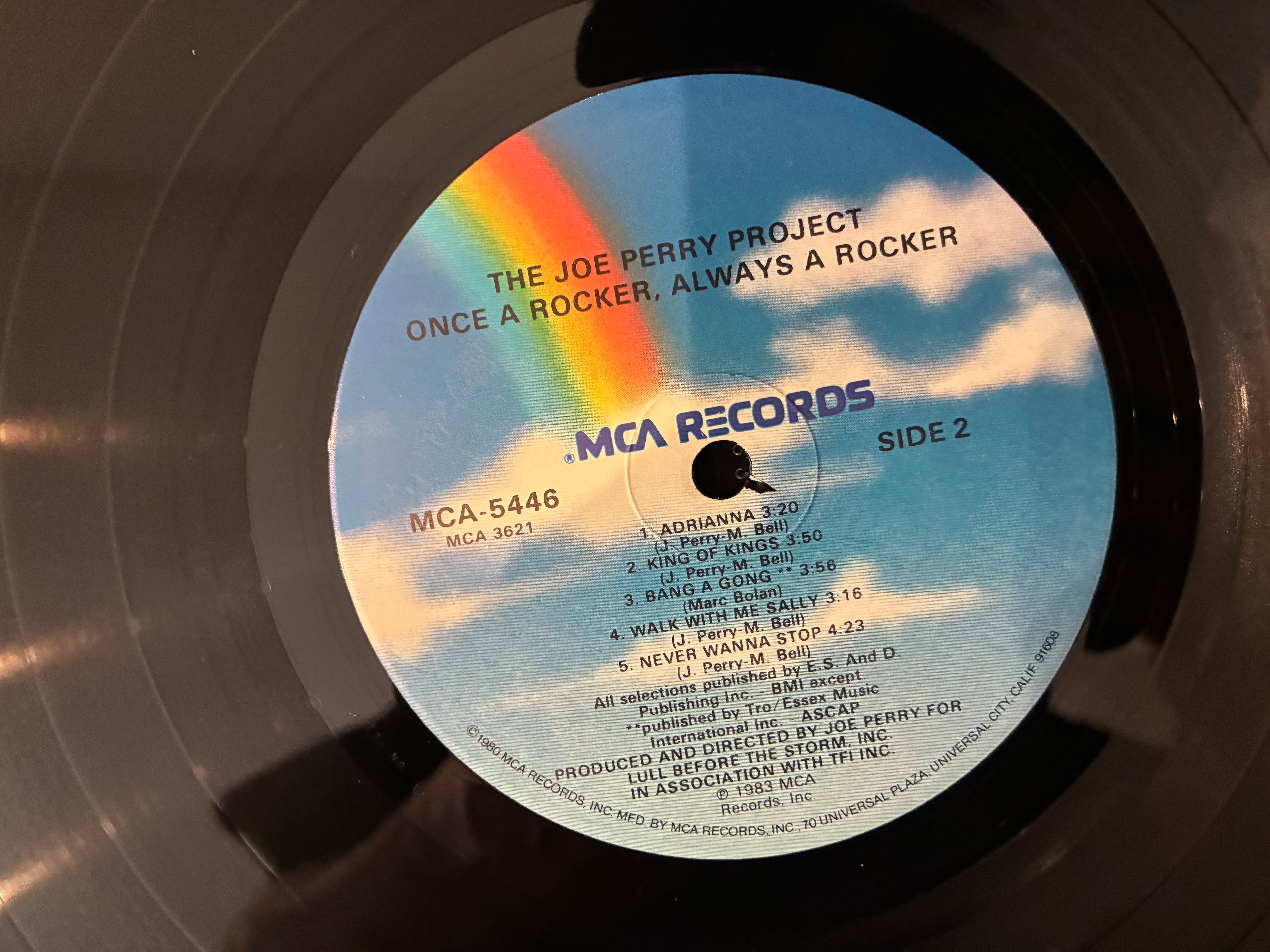 JOE PERRY / ONCE A ROCKER ALWAYS A ROCKER | sixteen records