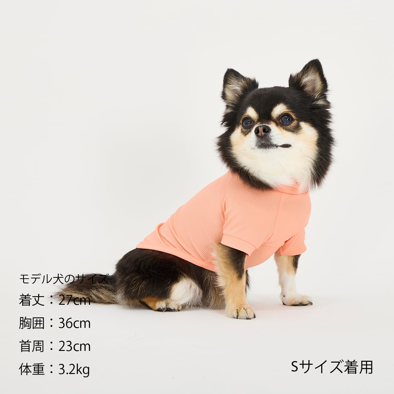 INSECT SHIELD SKIN TIGHT COOL T-SHIRT（XS.S） インセクトシールド