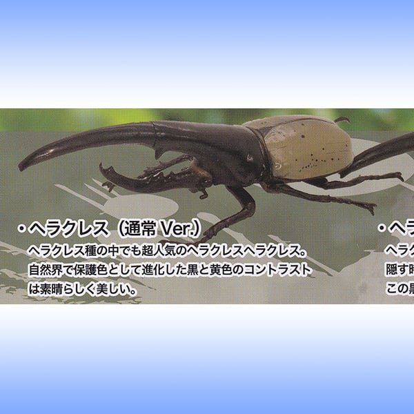 ヘラクレス(通常ver.) (1/1 ヘラクレスオオカブト カブトムシ 昆虫 動物 グッズ フィギュア HirokA(河野博史)氏 模型 ガチャ SO-TA) お宝市場BASE店 【フィギュア・ガチャガチャ・ガチャポン・食玩・プライズ・アニメ・グッズ・模型 ... 1ヘラクレスオオカブト 全3種セット(フルコンプ)