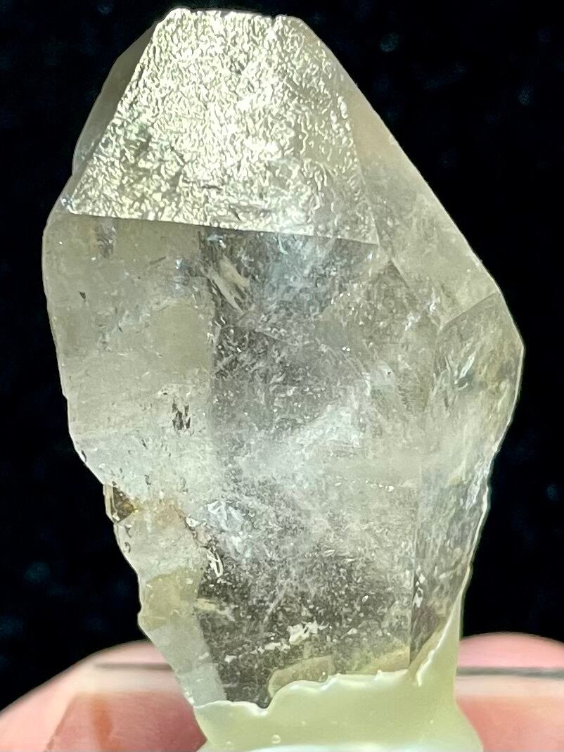 25) ロシアン・レムリアンDT