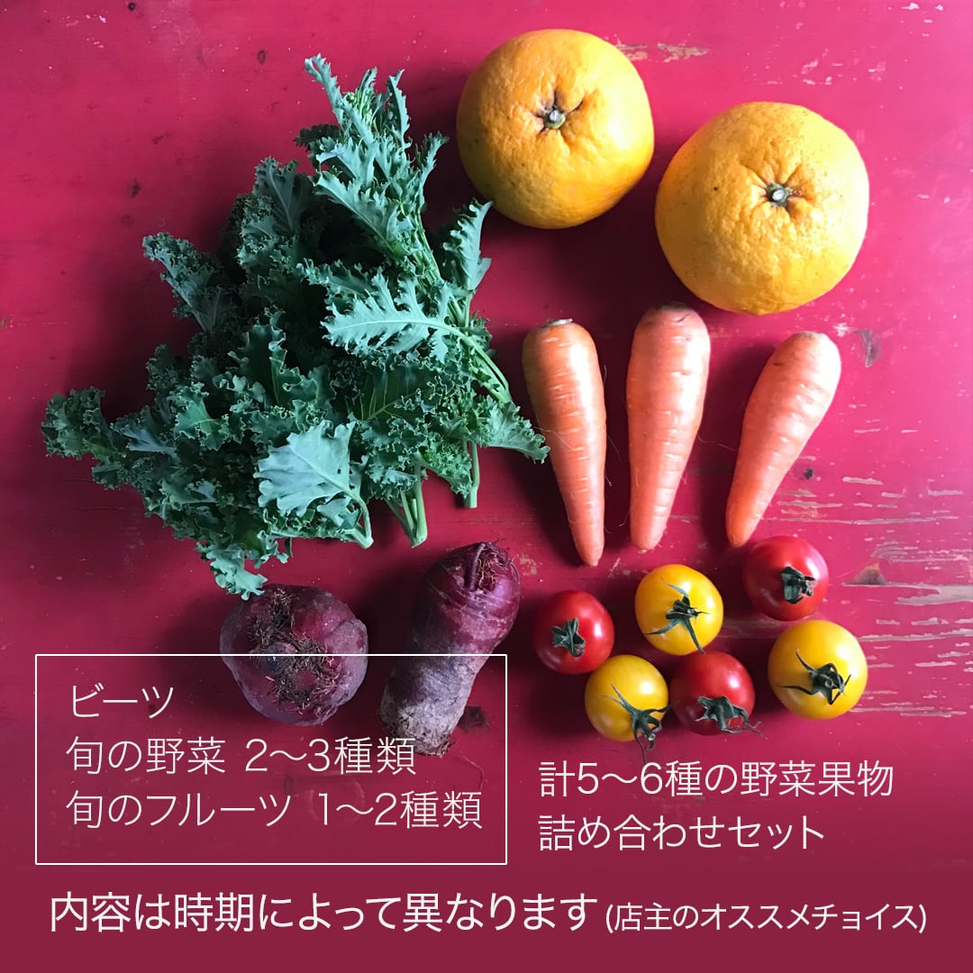 おまかせスムージーBOX　湘南野菜　ビーツと野菜フルーツのセット　ーベジ八ー