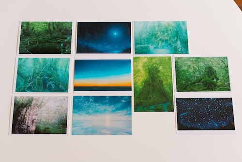 森と海のポストカード10枚set