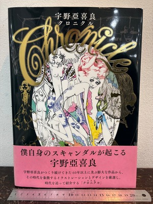 宇野亜喜良クロニクル