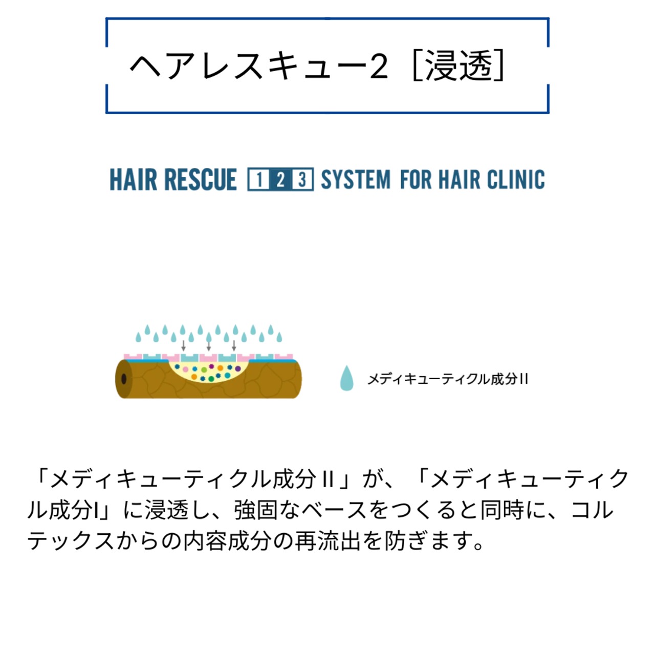 タマリス ヘアレスキュー クリニックシステム|人毛ウィッグ スペシャルトリートメントセット 集中補修・保湿ケア プロ用サロン品質