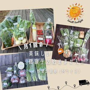 【送料込】有機野菜＆旬の野菜＆果物がぎゅっと詰め合わせたセット(定期便）Mサイズ