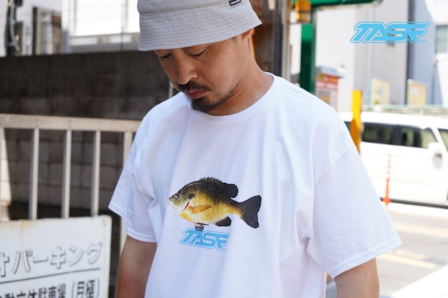 TASF  /  ギルTee  /  White