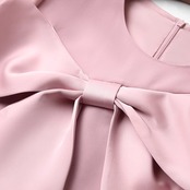 Elegant Bowknot Dress 5080