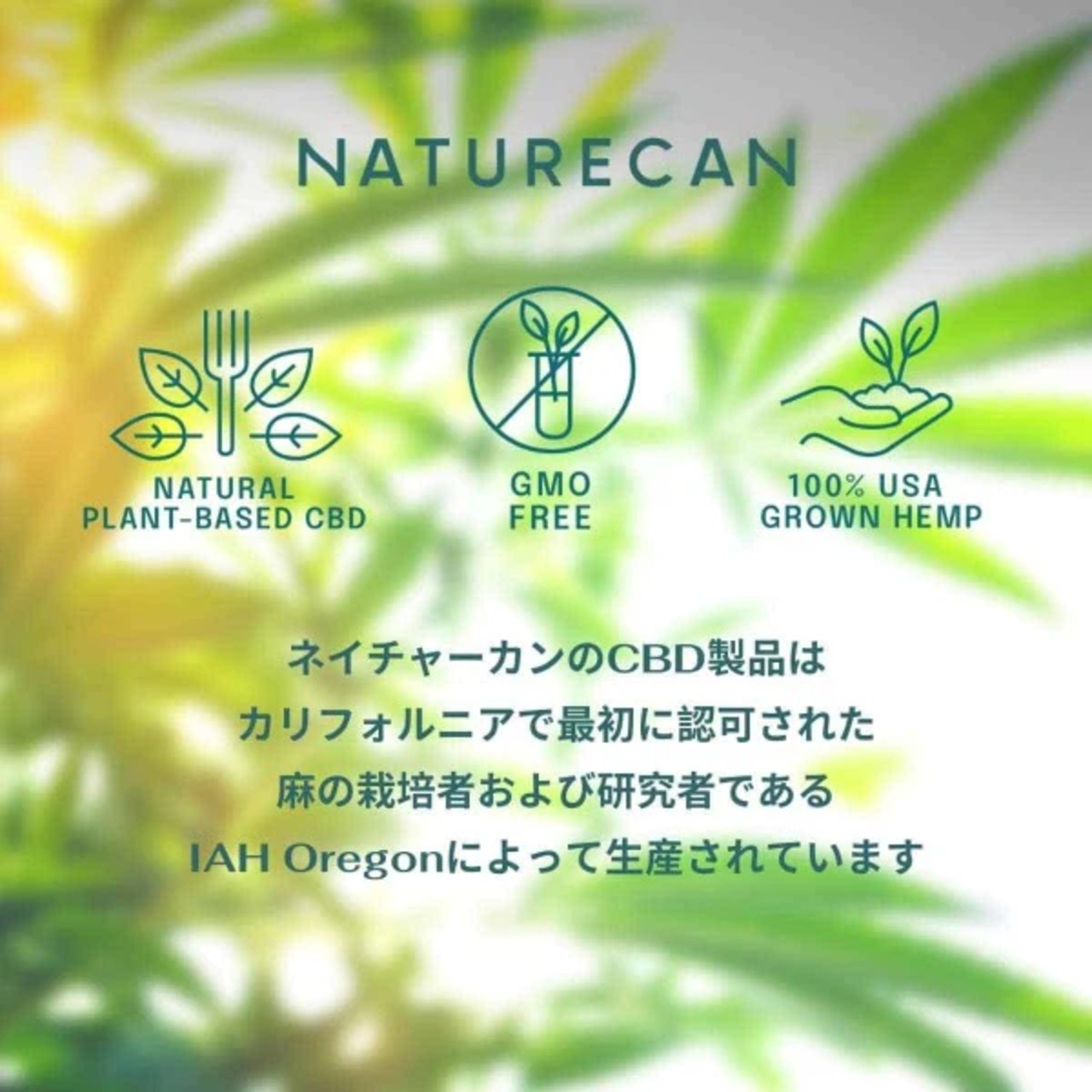 NATURECAN, 20% CBDオイル（10ml）