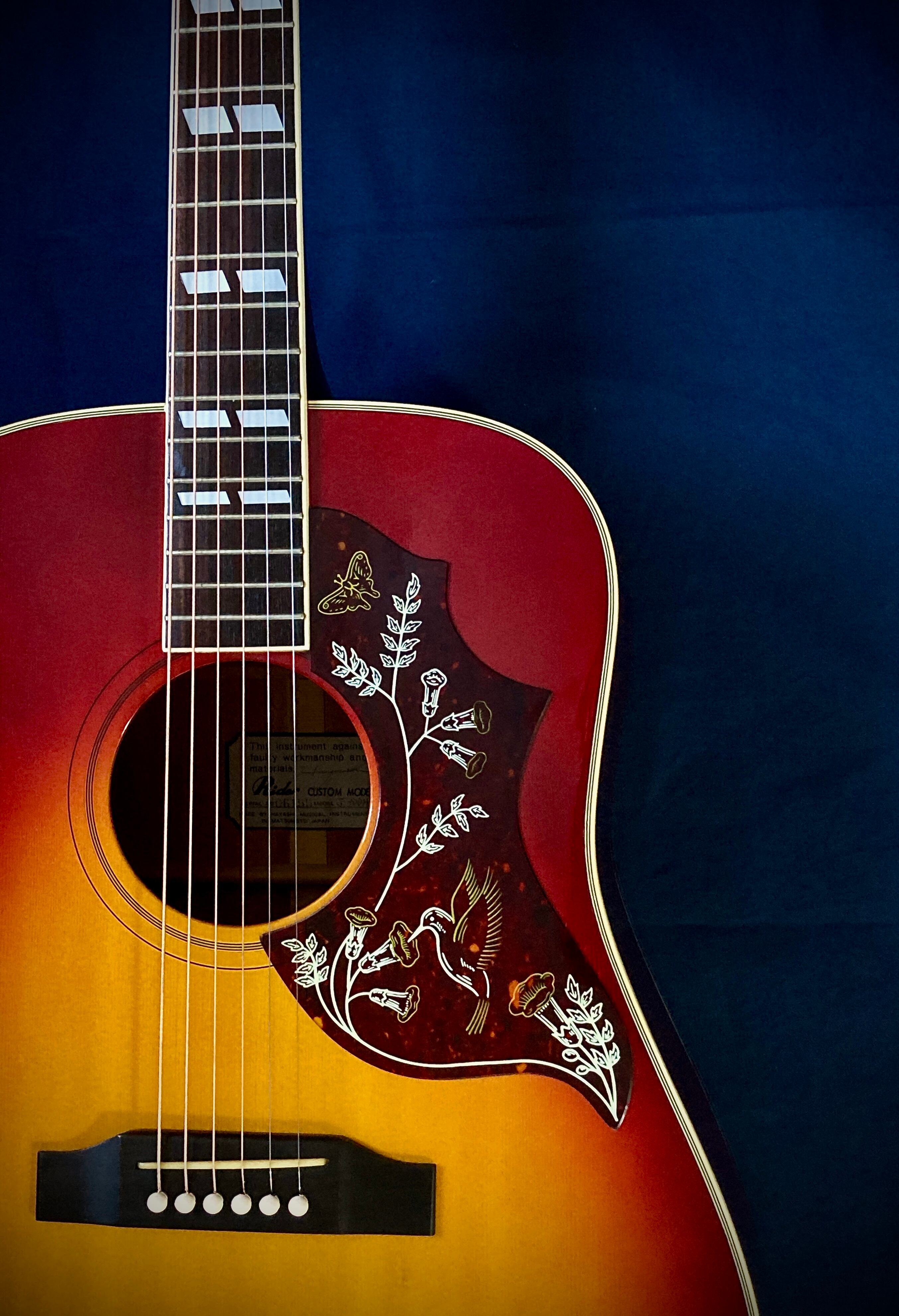 スタッフォード Stafford SLG360 BS 2000年 クロサワ 超美品 ギブソン