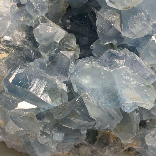 8.色合い綺麗✩セレスタイトに住み着いているフローライトハリネズミさん