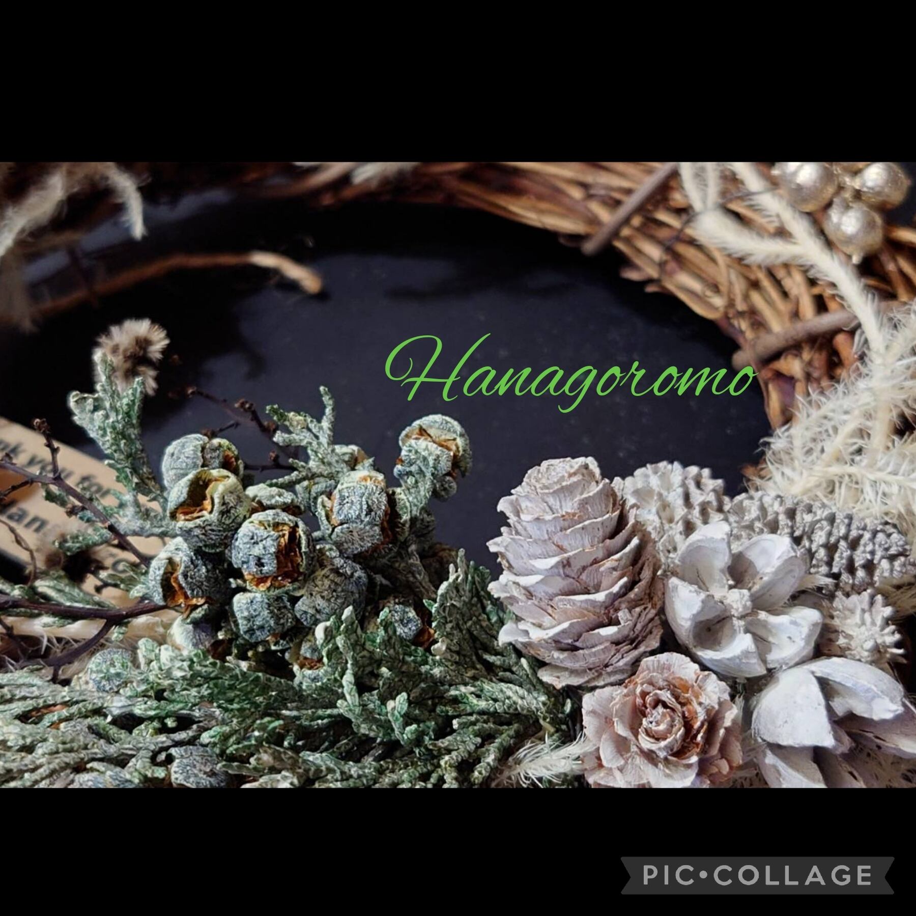 ヒカゲノカズラのクリスマスリース | Hanagoromo