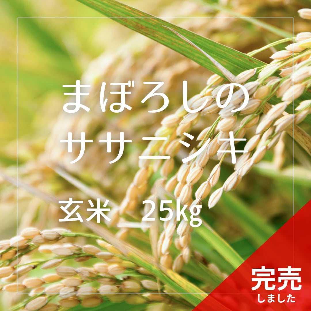 ササニシキ 玄米24kg 農薬不使用化学肥料不使用