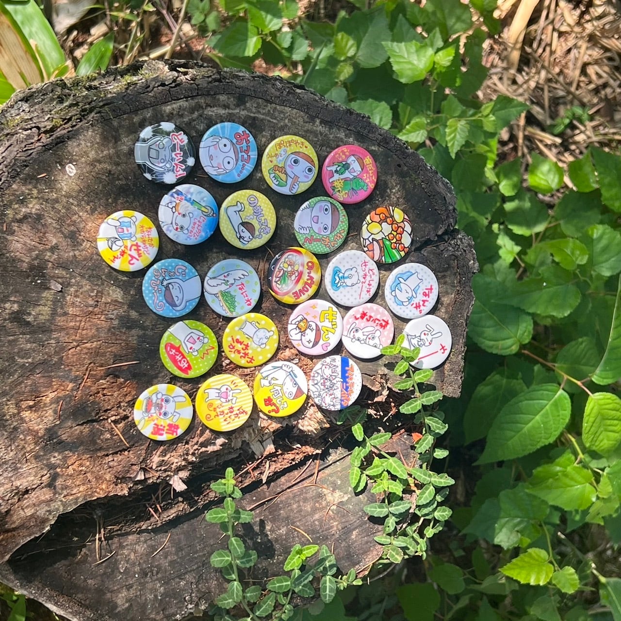 00c0b9e6bae32477b9833e21421063