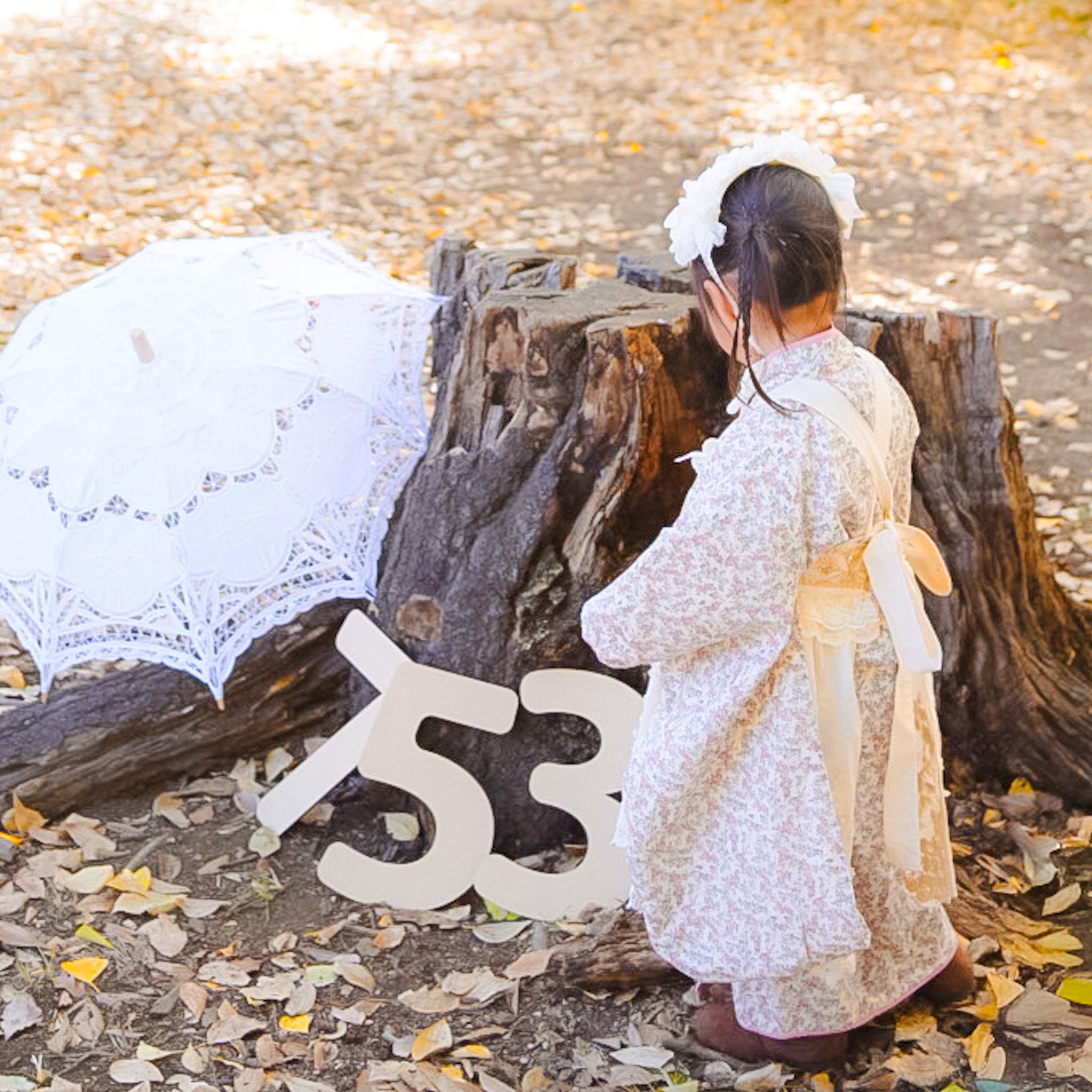 W046 【 Big Number 】 ビッグナンバー バースデー 七五三 誕生日