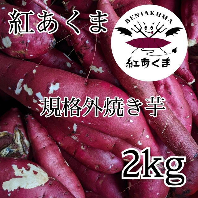 【紅あくま】焼き芋　2kg　規格外