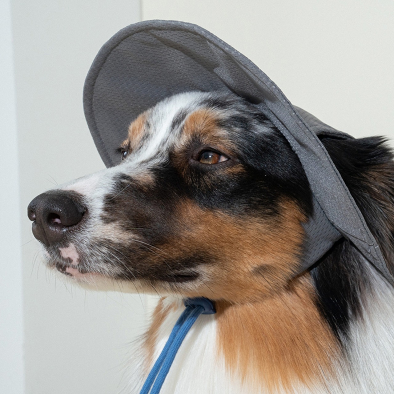 【puppygallery公式】 Clay Cooling Hat　L-XL