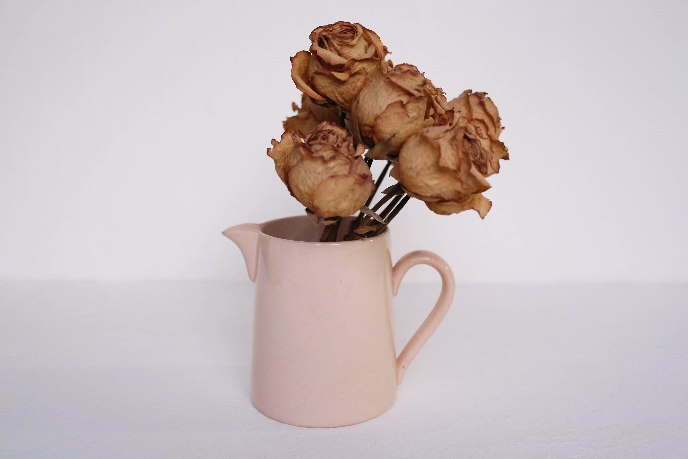 フランス アンティーク ヴィンテージ Digoin Sarreguemines サルグミンヌ ピシェ 水差し (ピンク) N-02655