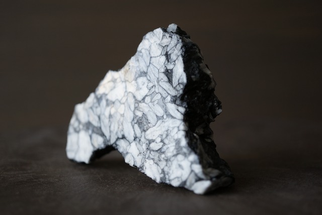 ピノライト Pinolite 904