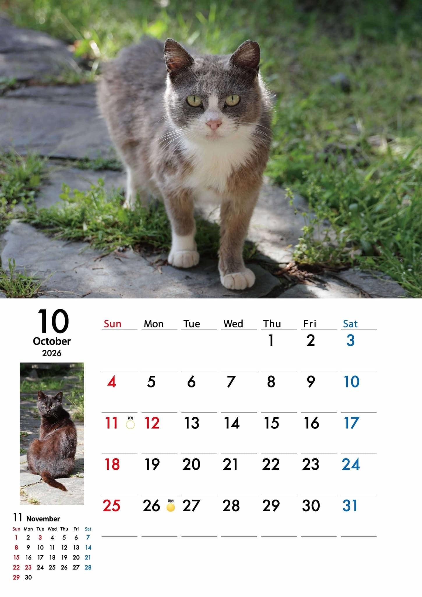 地域猫カレンダー2026 | コミュニティBASEイトネコ