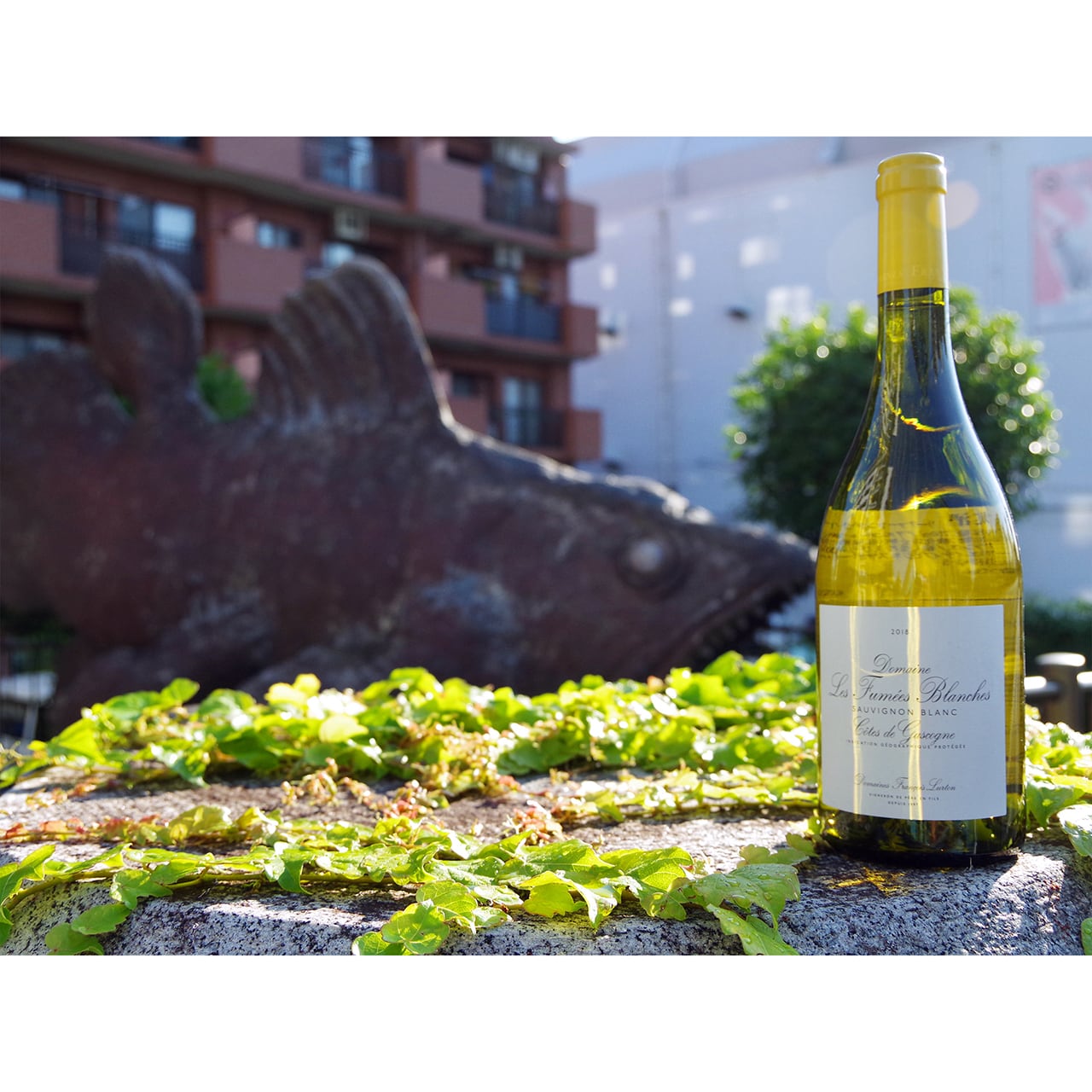ドメーヌ・レ・フュメ・ブランシュ ソーヴィニヨン・ブラン コート・ド