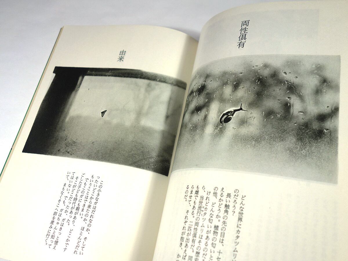 季刊銀花 51号「特集：女神たちの愛の物語 / 平沼美子の竹工芸