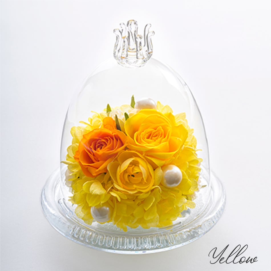 Belles Fleurs Tokyo プリザーブドフラワー Belles Fleurs Tokyo】プリザーブドフラワー ガラスドーム イエロー