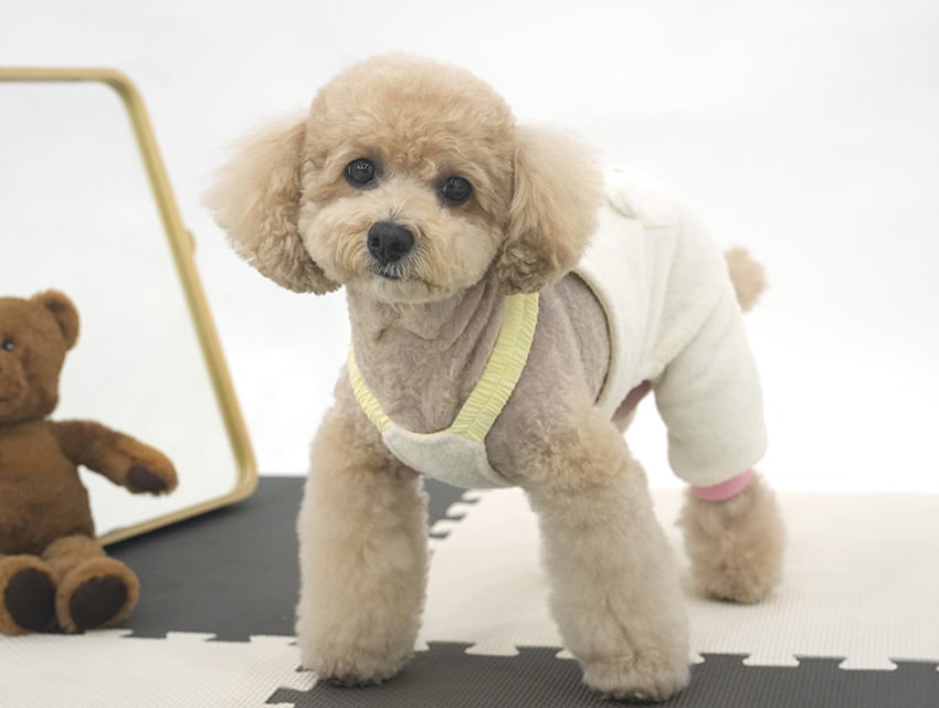 sleepy bear all in one set S ~ XL 2color / 犬服 秋冬 新作 もこもこ フリース オールインワン 帽子 セット 可愛い 犬の服 暖かい ドッグウェア ペット ワンコ服 小型犬 中型犬 猫 ロンパース tsu44