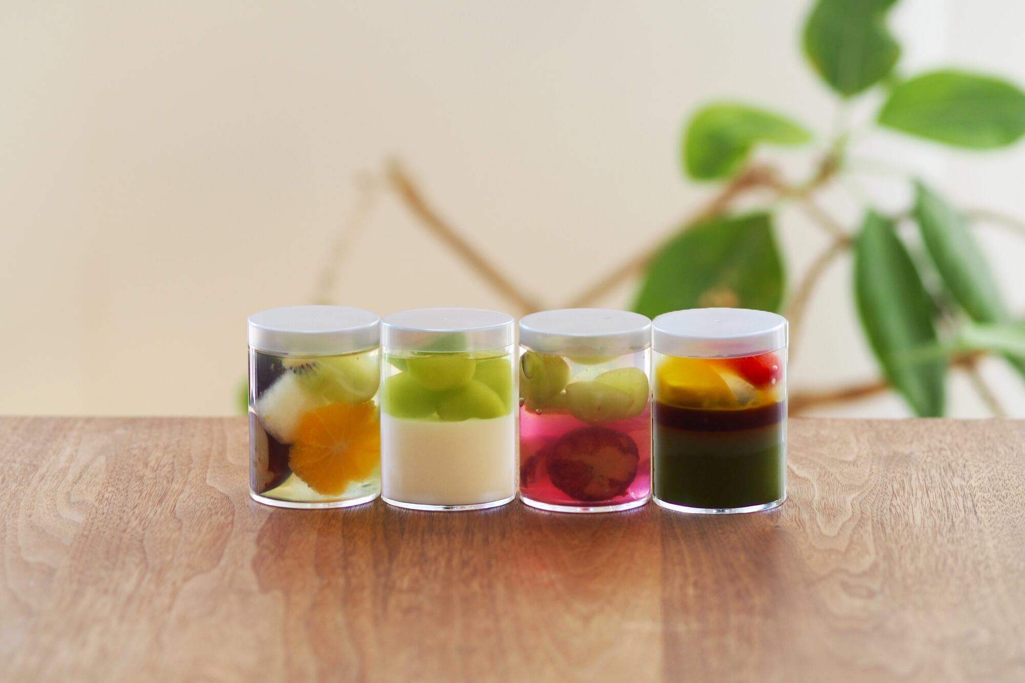 9月のゼリーセットB【旬の果物・シャインマスカットレアチーズ・2種のぶどう・抹茶黒蜜】※9月19日発送予定