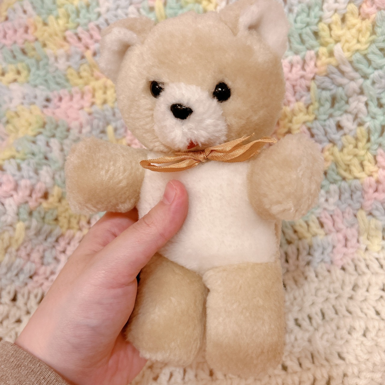 bearの画像02