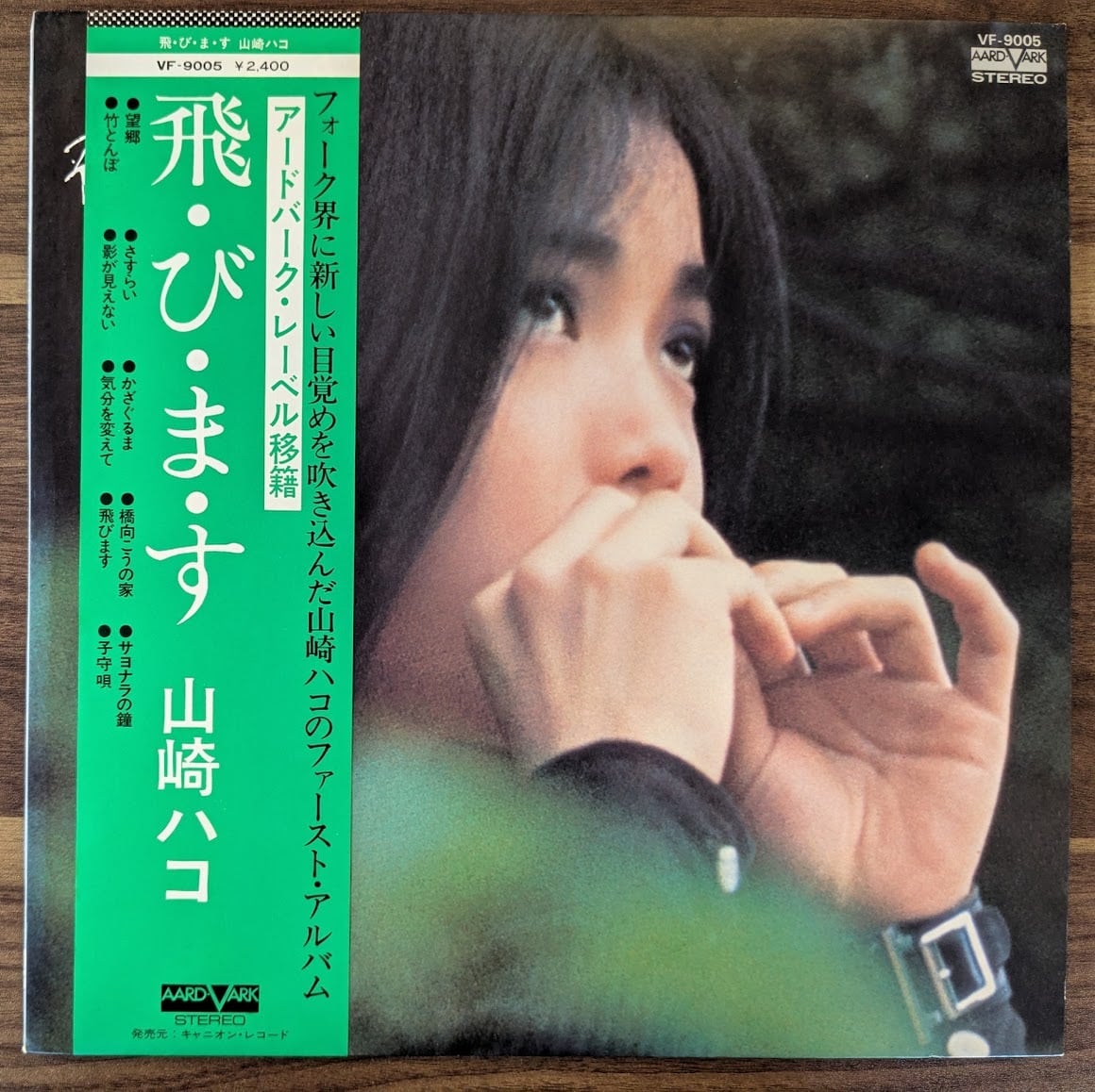 クロマニヨンズ　ビンボロール　LP ザ・クロマニヨンズ「ビンボロール」：LPレコード | 音とこだま