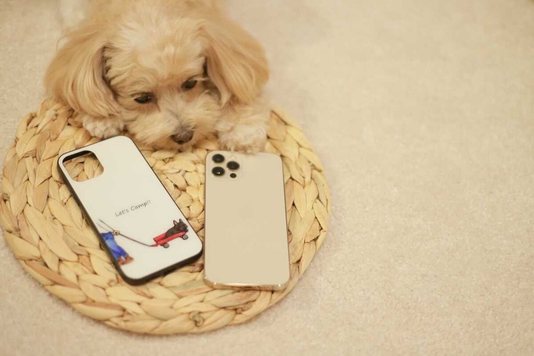 名入れ可能】 Let's camp!! フレンチブルドッグ iPhoneケース フレブル