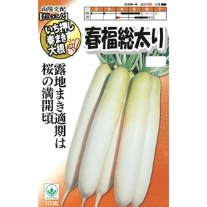 山陽交配　春福総太大根（100粒）
