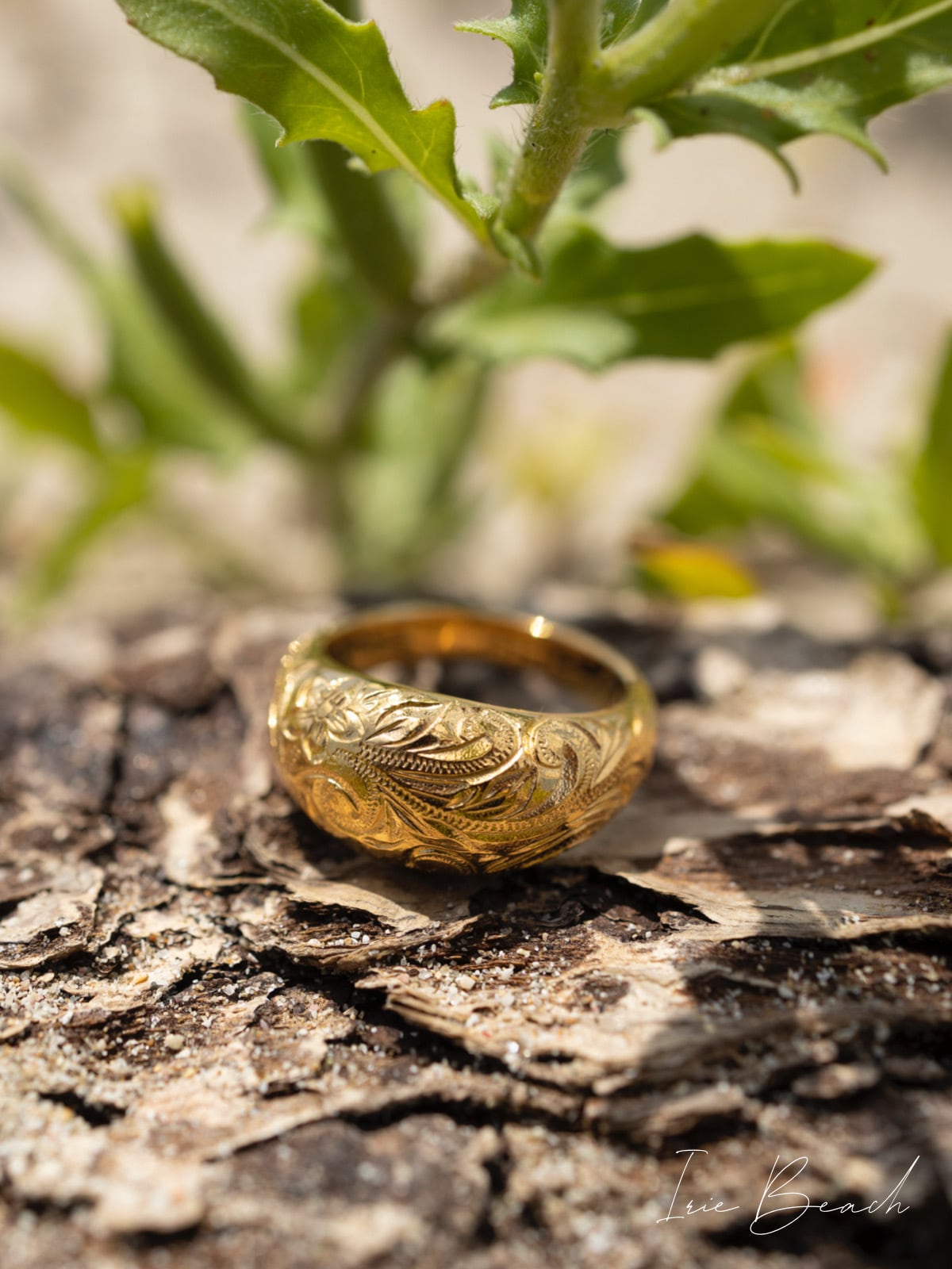 ellipse ring | IRIEBEACH