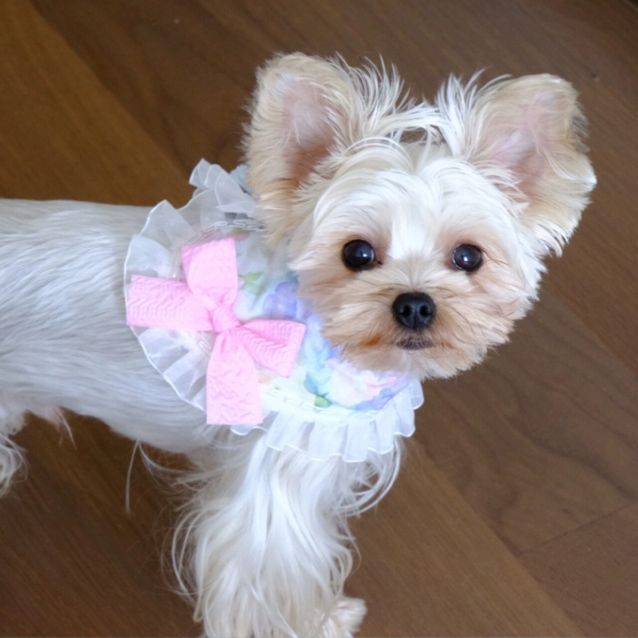 フルールスカーフ ♡0015