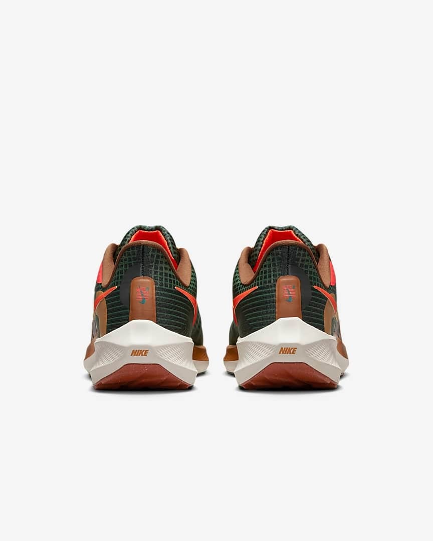Nike Air Zoom Pegasus 39 A.I.R. Hola Lou ナイキ | jordan_sneakers