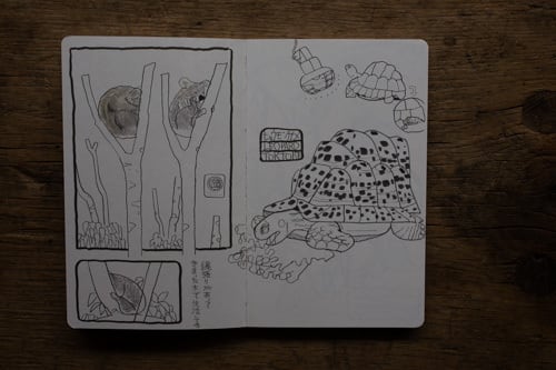 再入荷】SKETCH FROM THE ZOO ／TAKEUMA | casimasi
