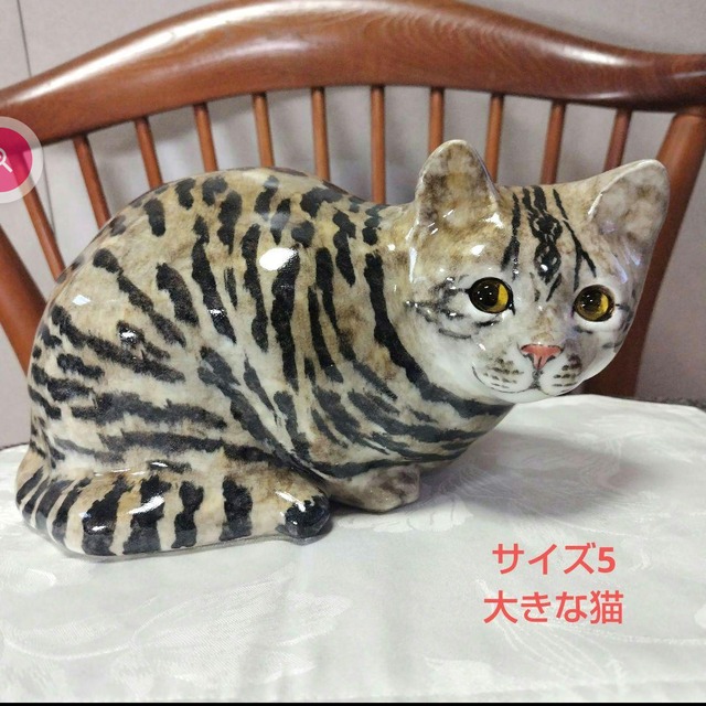 ウィンスタンレイキャット（ケンジントンキャット）サイズ5の大きな