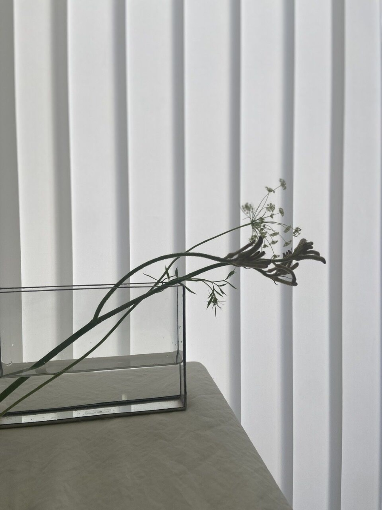 FROWER VASE / W15.2cm / ガラス器・長方薄型