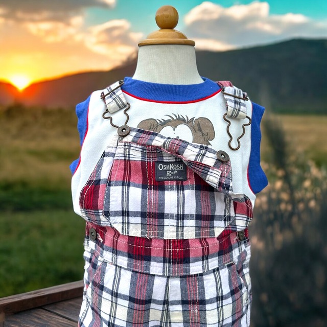 【KIDS】OshKosh shortall size:24month