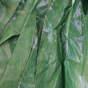 フラダンス 衣装 ティーリーフスカート グリーン系 タヒチアン 緑 葉っぱ ダンス衣装 ハワイアンダンス レディース スカート 華やか 鮮やか アロハ フラ ダンス レッスン 練習 ハワイアン 踊り 練習着 33枚 葉っぱ柄 ボリューム 大人 可愛い ダンス 衣装 練習用 ステージ用 舞台衣装 ハワイアンガール タヒチ ダンス スカート 巻きスカート風 ナチュラル オリーブ系 くすみ系 エメラルド系 グリーン 濃緑 葉っぱ フラガール フラダンスレッスン