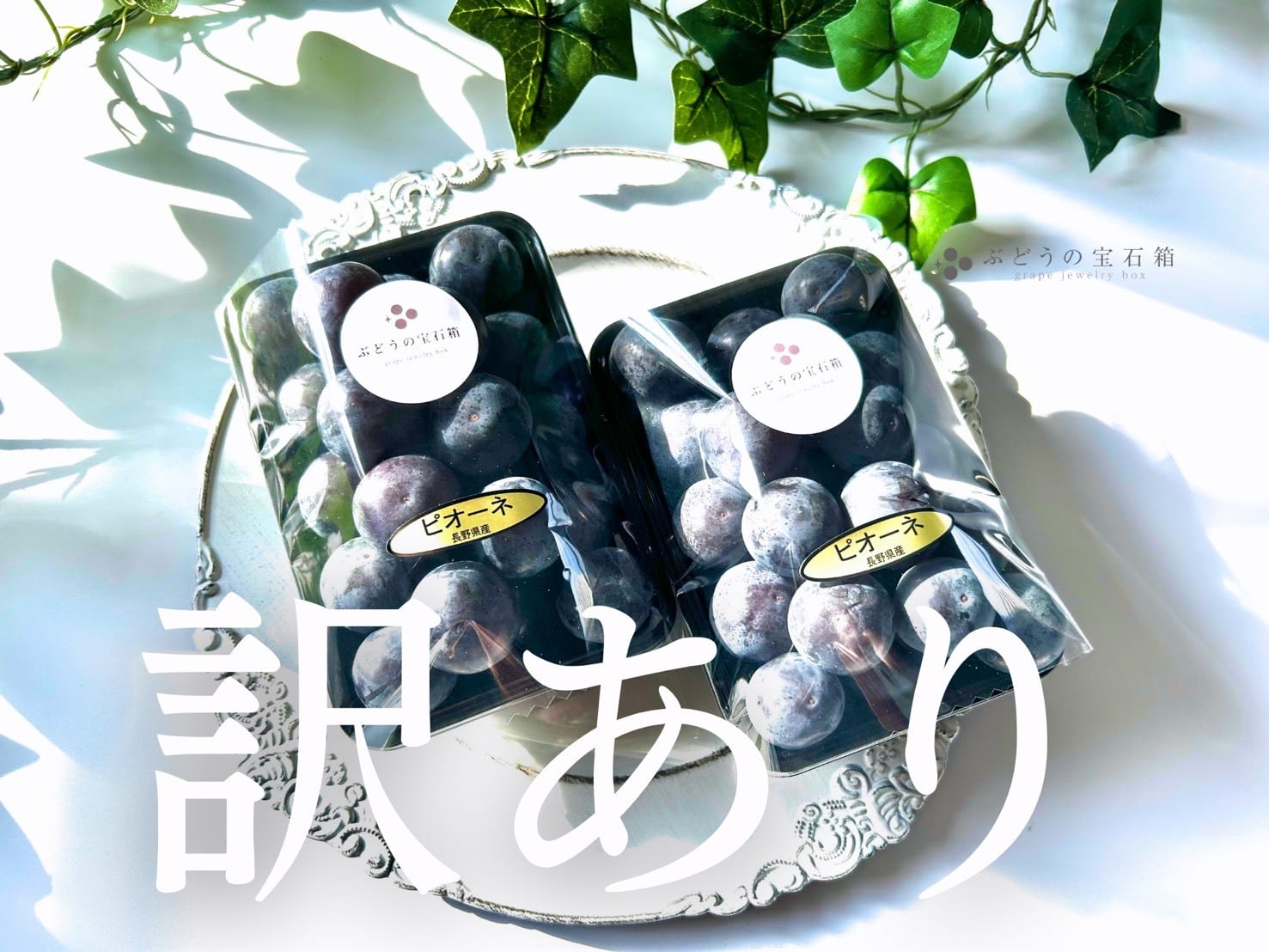 ぶどうの宝石箱