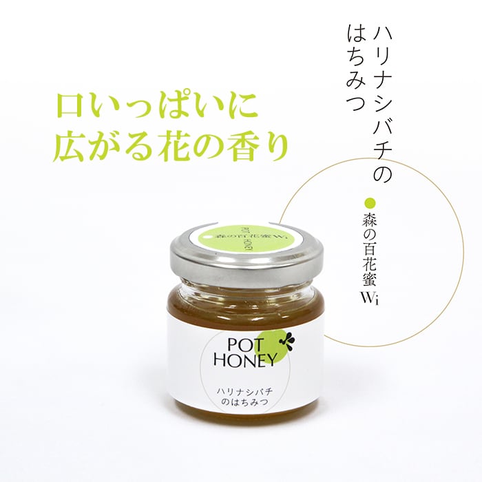 お得！】ハリナシバチの蜂蜜 POT HONEY 6種食べ比べセット 各40g | 蜜