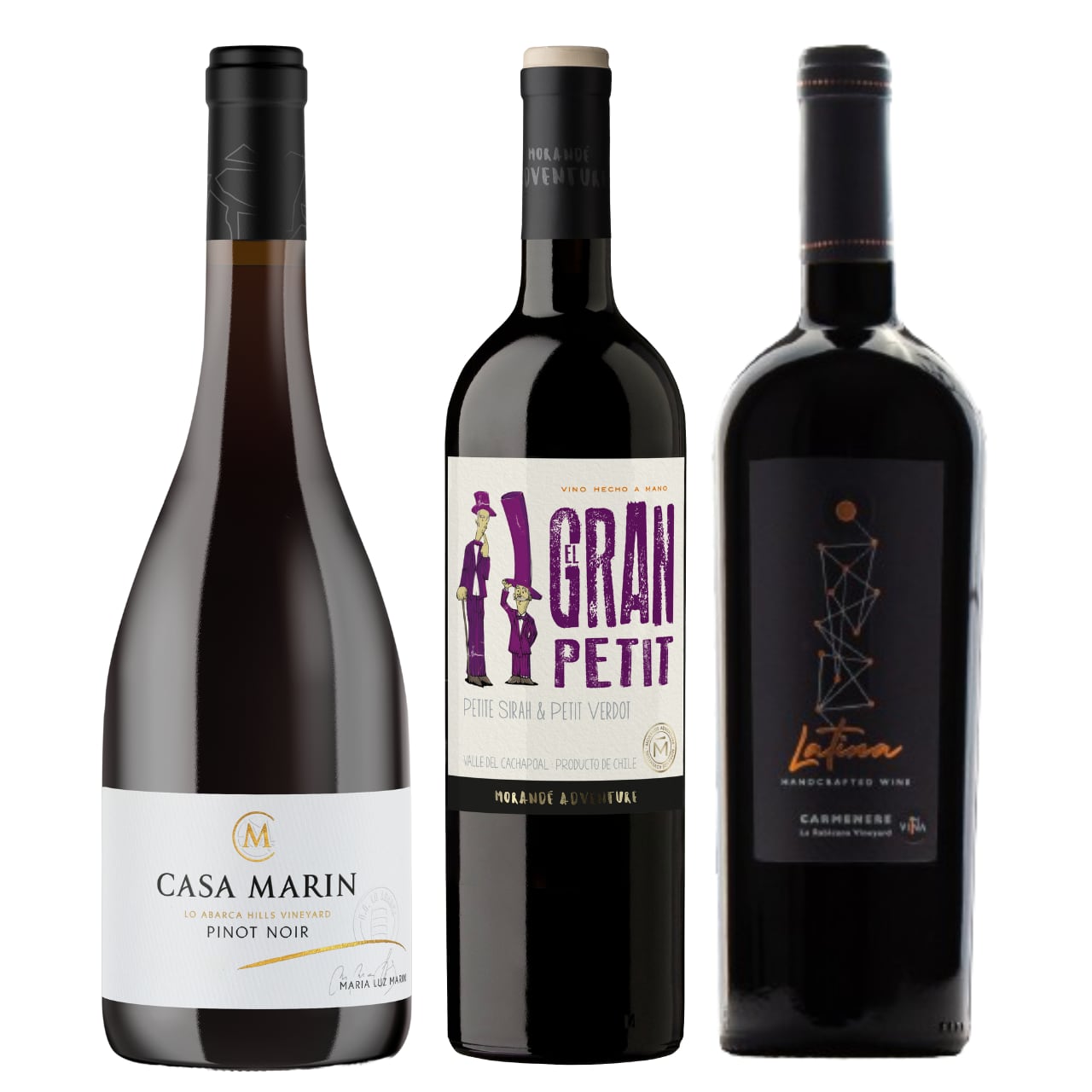 ②今注目の「プレミアム・チリワイン」を飲み比べ、人気の赤3本セット 〈限定5セット〉