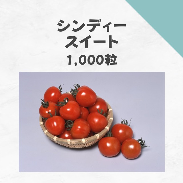 シンディースイート　トマト種子・1,000粒