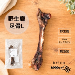 LOOPe(ループ) 足骨 Lサイズ